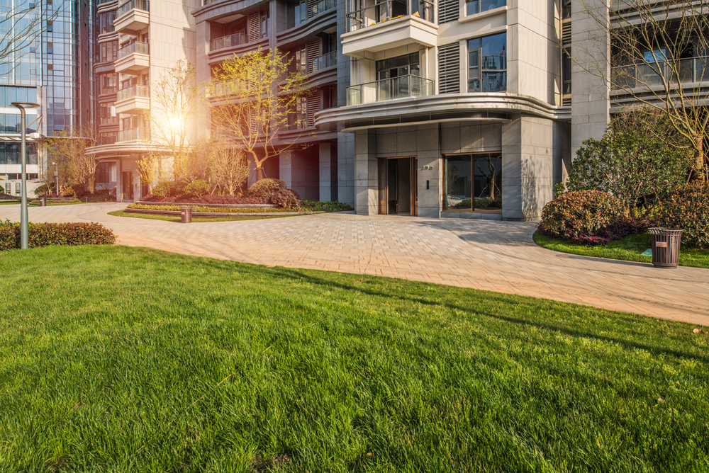 Bezuz-Lawn-and-Landscaping_Industrial-in-katy-texas-08